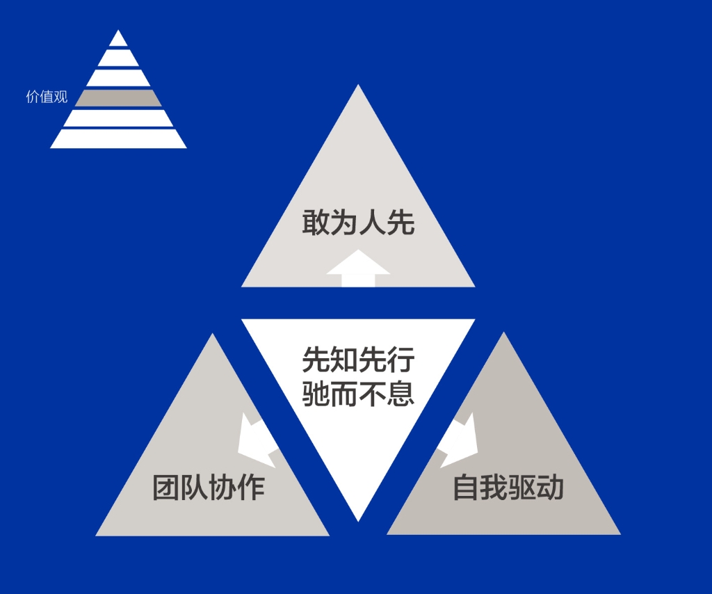 开云体育注册人的DNA——价值观